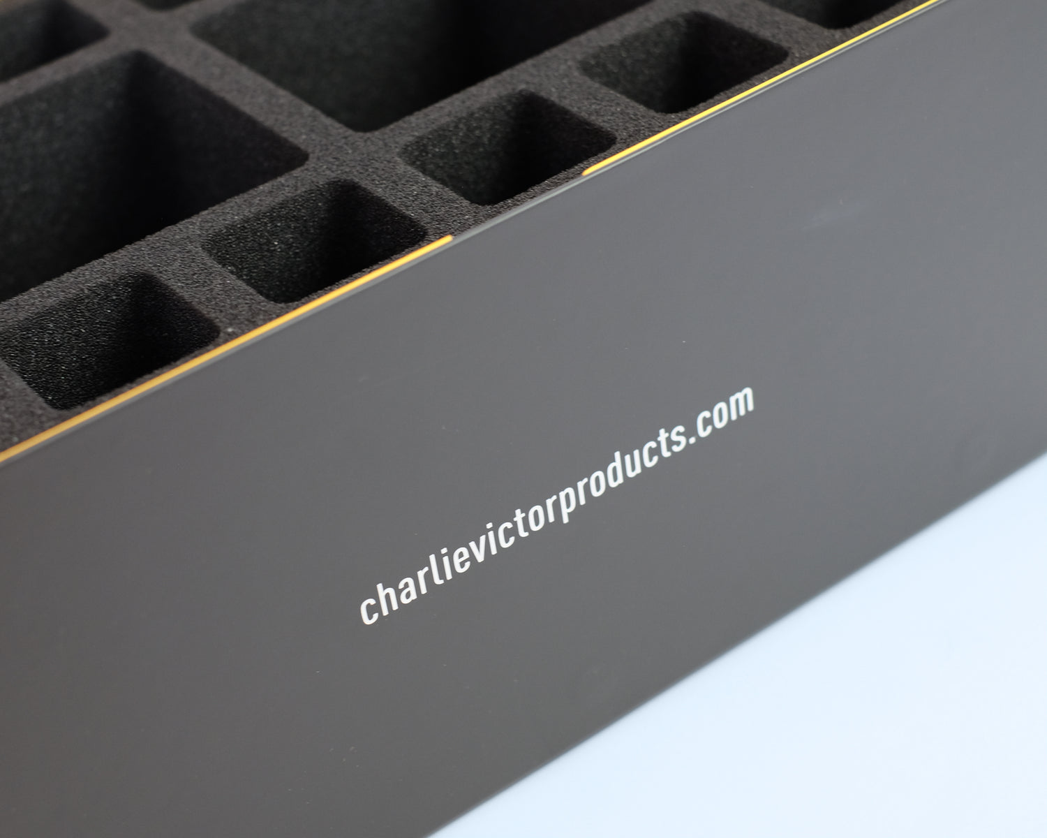 Thick Skull Archive System